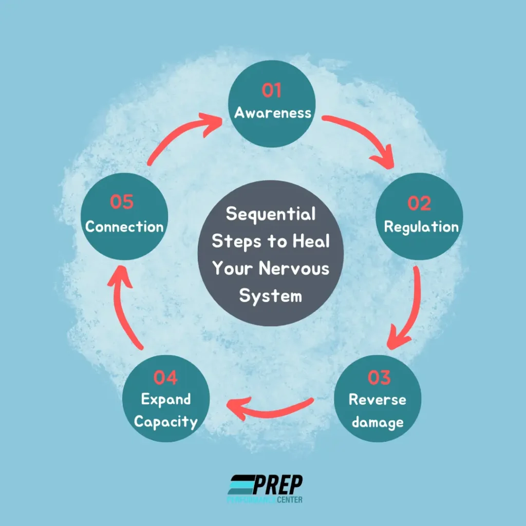 Visual Guide: Steps to Heal Your Nervous System for Optimal Well-being