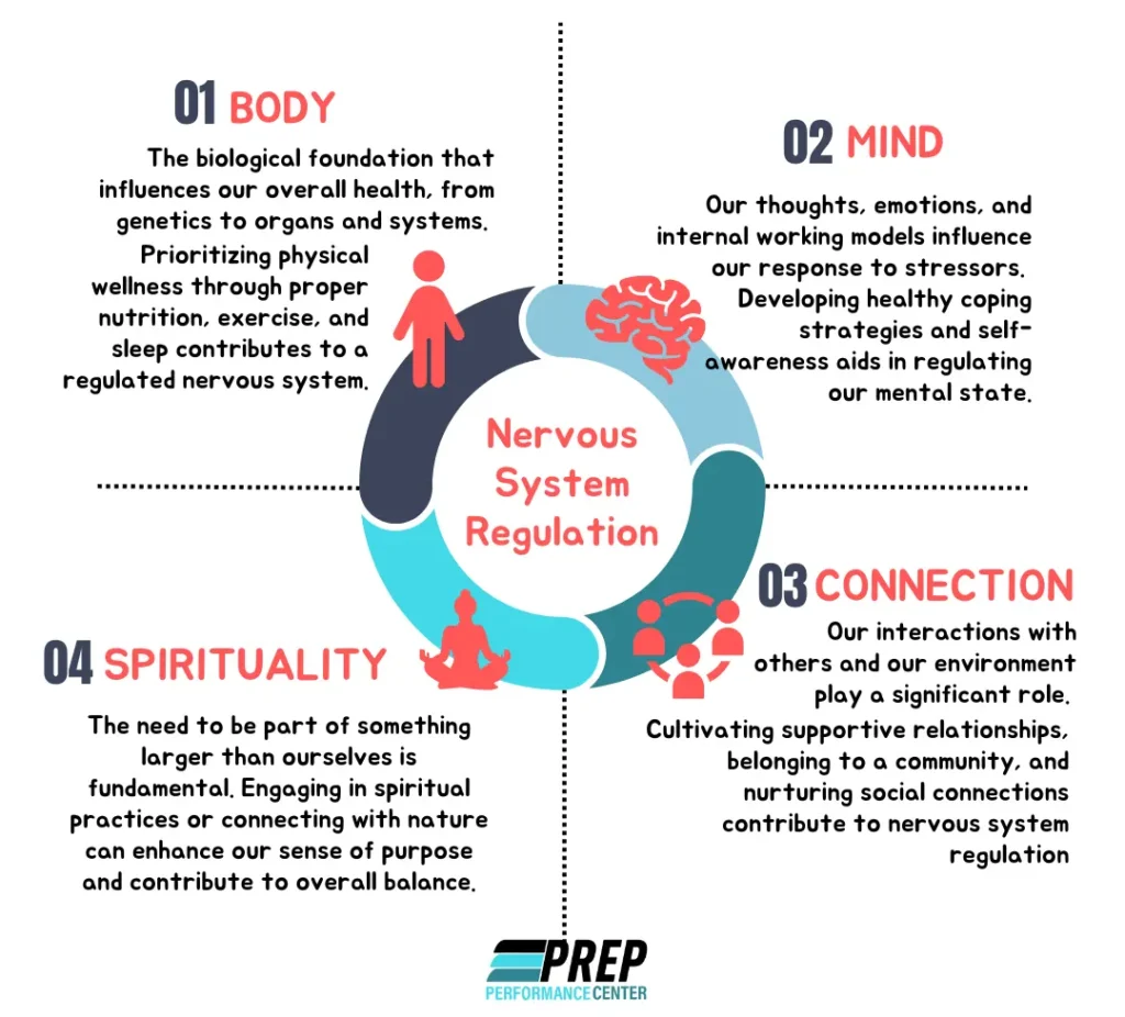 Visualization of Nervous System Regulation: Sympathetic and Parasympathetic Systems in Harmony